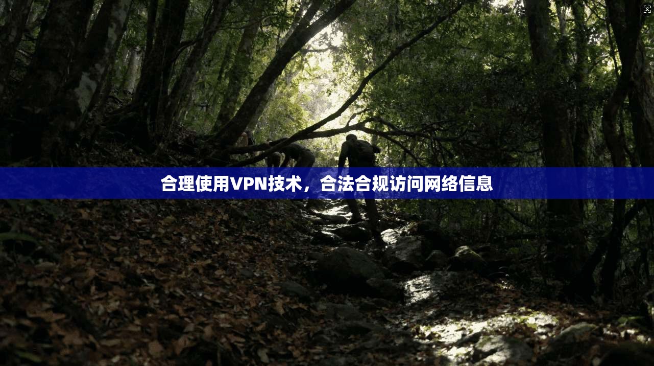 合理使用VPN技术，合法合规访问网络信息