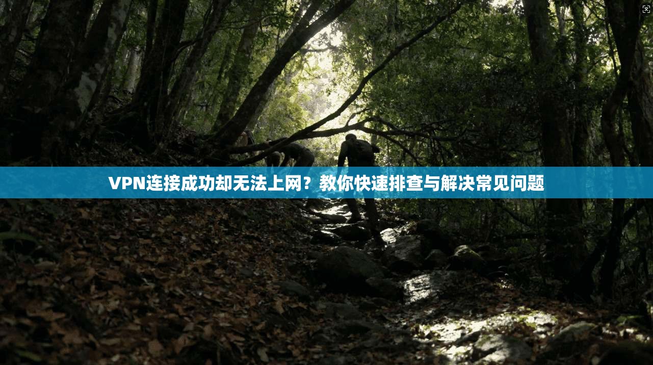 VPN连接成功却无法上网？教你快速排查与解决常见问题