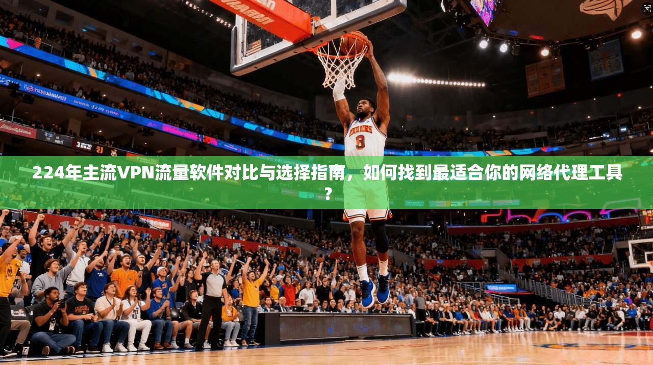 224年主流VPN流量软件对比与选择指南，如何找到最适合你的网络代理工具？