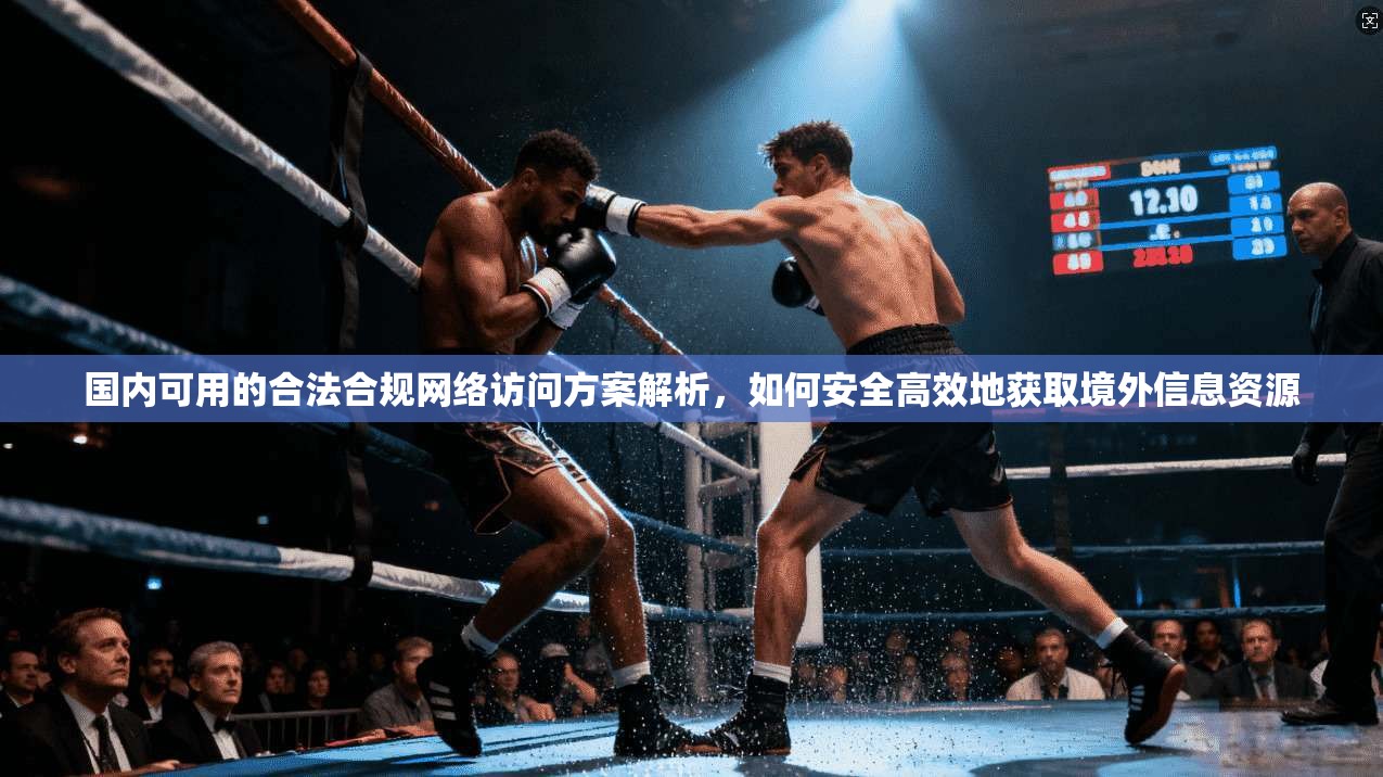 国内可用的合法合规网络访问方案解析，如何安全高效地获取境外信息资源