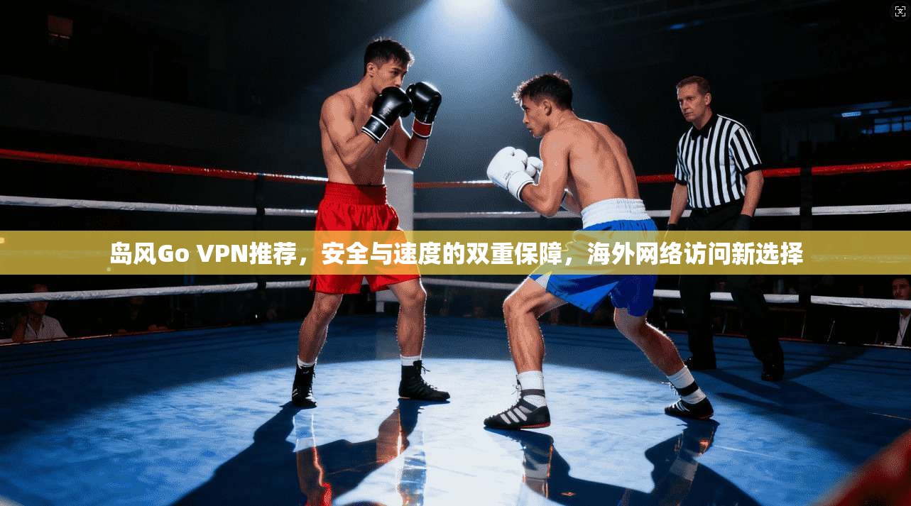 岛风Go VPN推荐,安全与速度的双重保障,海外网络访问新选择 岛风Go VPN推荐,安全与速度的双重保障,海外网络访问新选择
