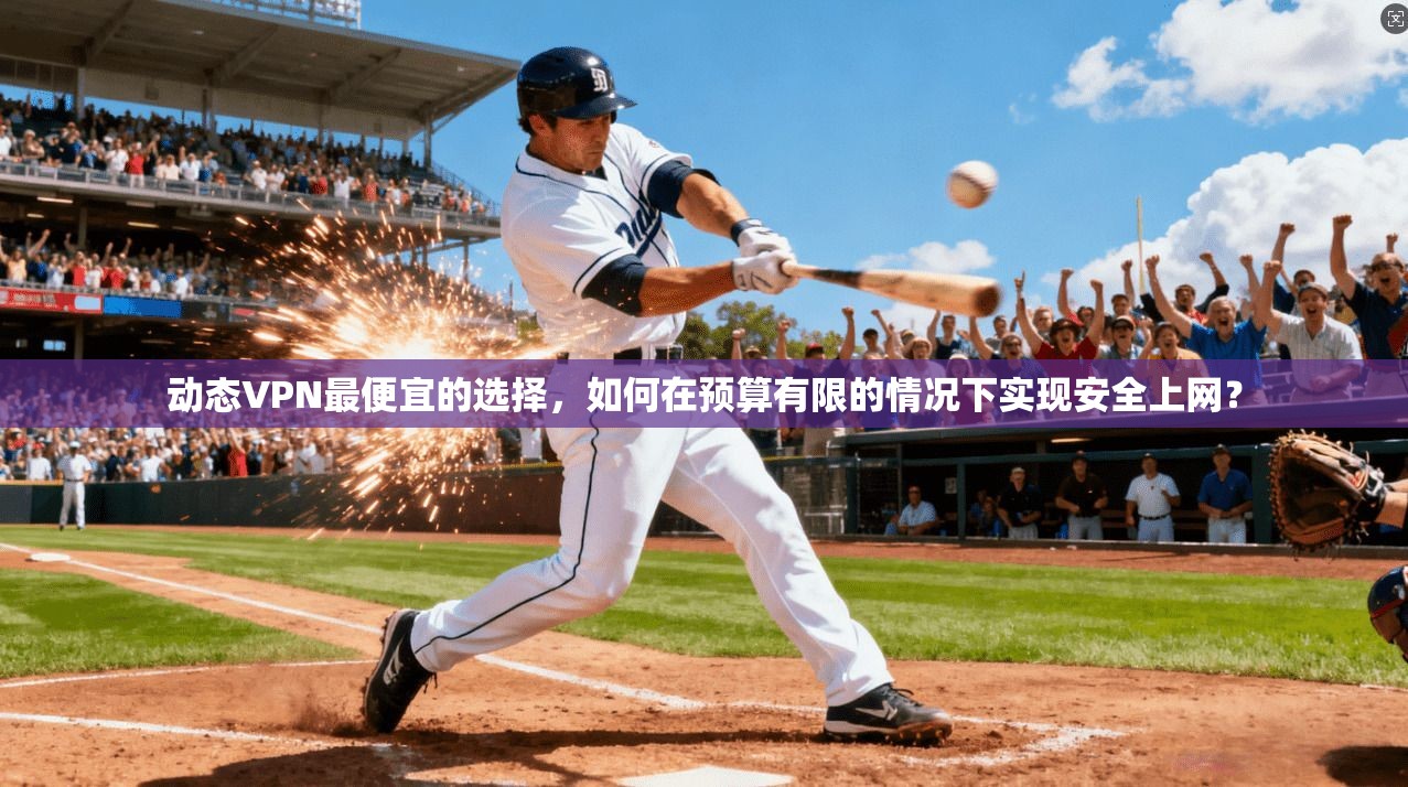 动态VPN最便宜的选择，如何在预算有限的情况下实现安全上网？
