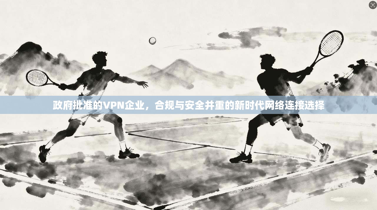 政府批准的VPN企业，合规与安全并重的新时代网络连接选择