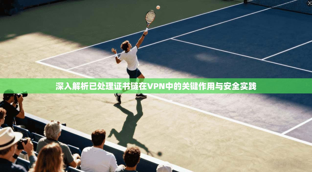 深入解析已处理证书链在VPN中的关键作用与安全实践