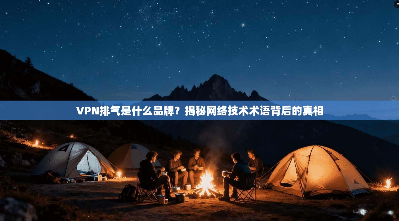 VPN排气是什么品牌？揭秘网络技术术语背后的真相