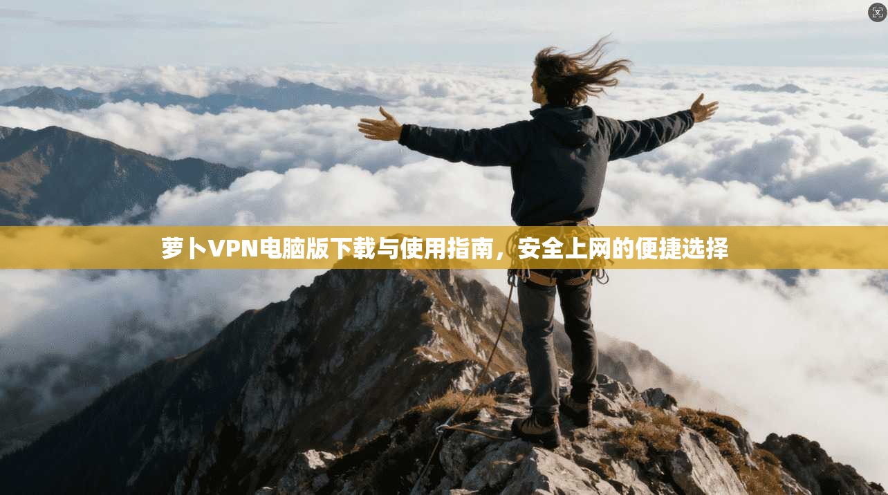 萝卜VPN电脑版下载与使用指南，安全上网的便捷选择
