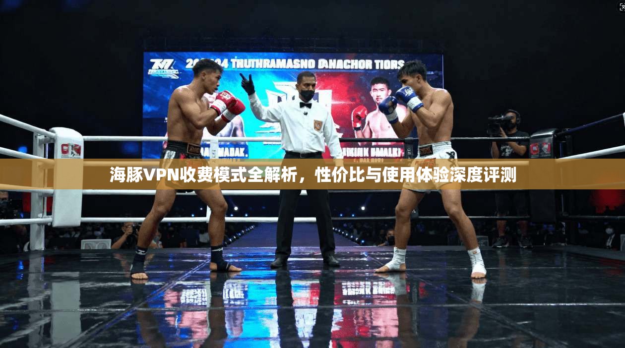 海豚VPN收费模式全解析，性价比与使用体验深度评测