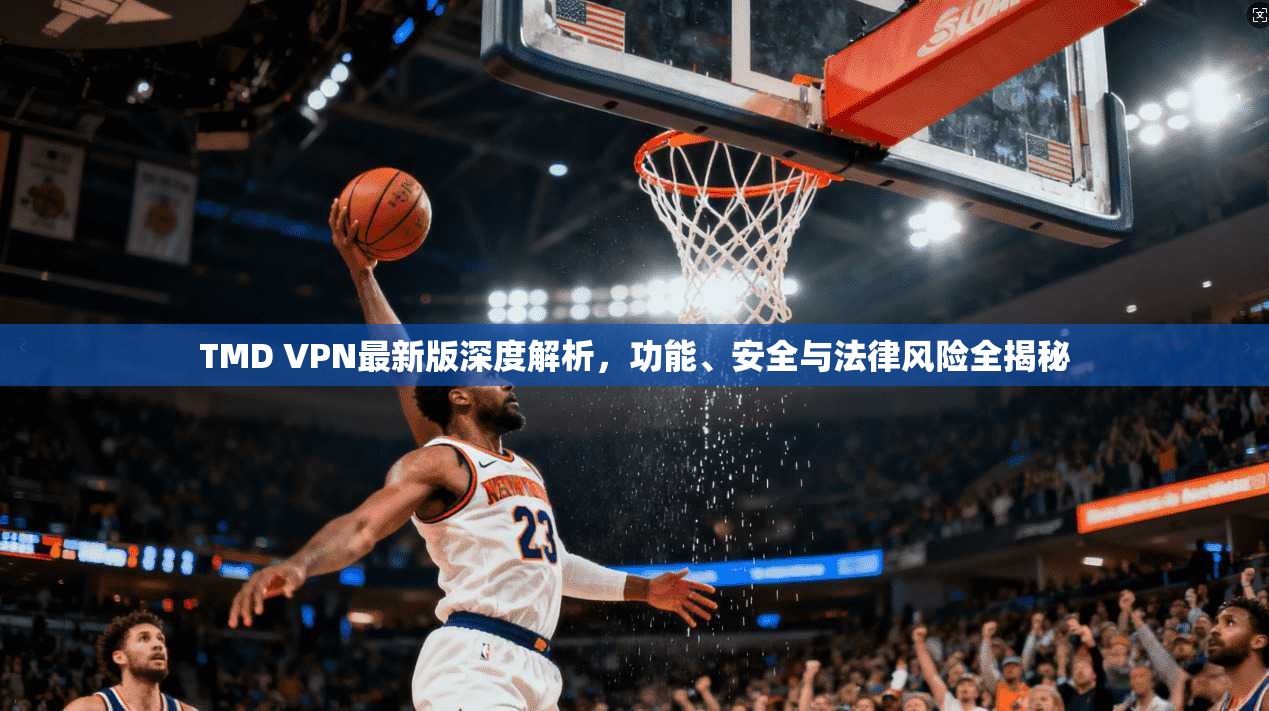 TMD VPN最新版深度解析，功能、安全与法律风险全揭秘
