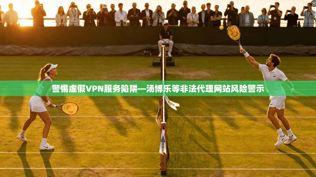 警惕虚假VPN服务陷阱—汤博乐等非法代理网站风险警示