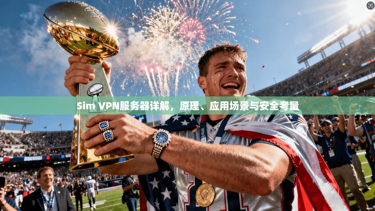 Sim VPN服务器详解，原理、应用场景与安全考量