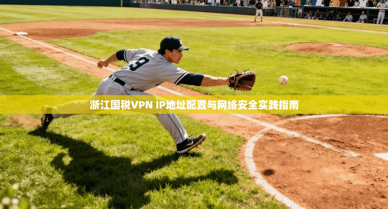 浙江国税VPN IP地址配置与网络安全实践指南