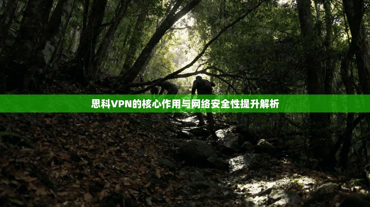 思科VPN的核心作用与网络安全性提升解析