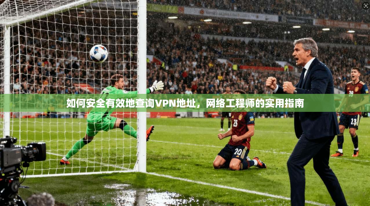 如何安全有效地查询VPN地址，网络工程师的实用指南