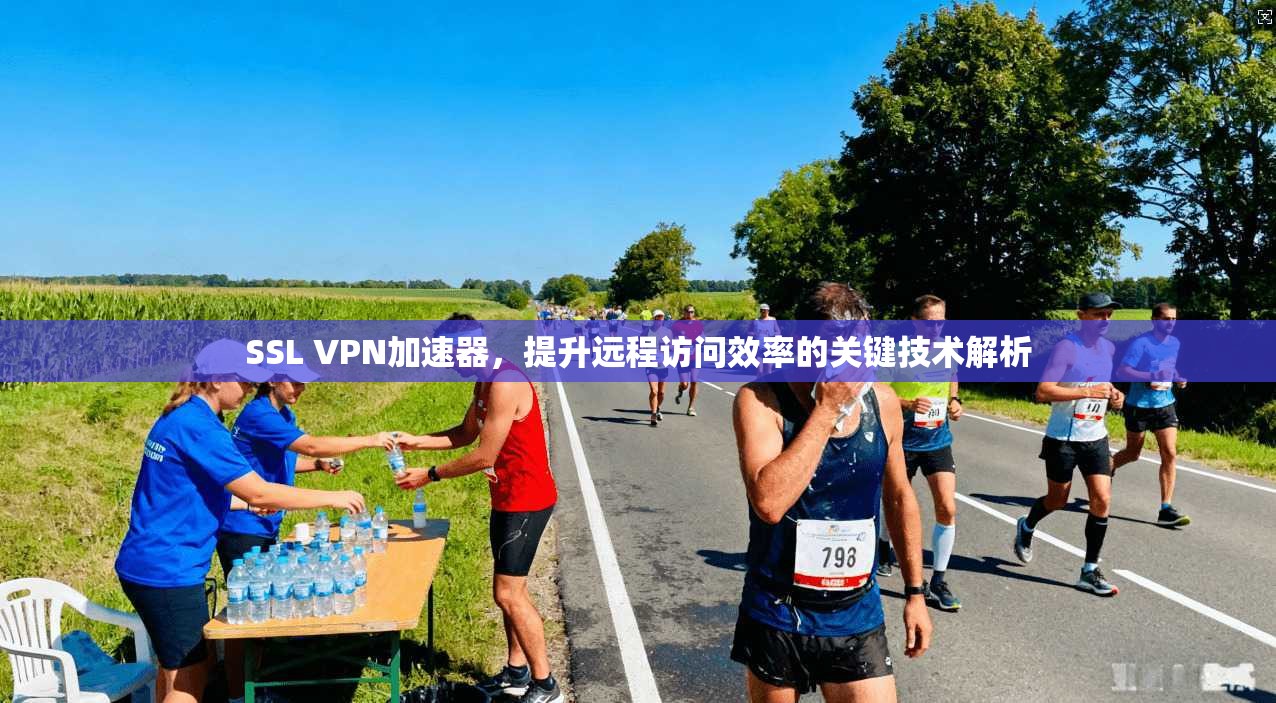 SSL VPN加速器,提升远程访问效率的关键技术解析 SSL VPN加速器,提升远程访问效率的关键技术解析
