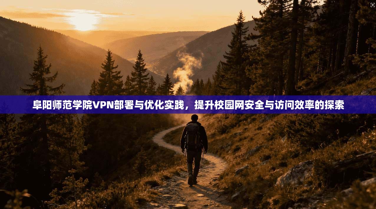 阜阳师范学院VPN部署与优化实践，提升校园网安全与访问效率的探索