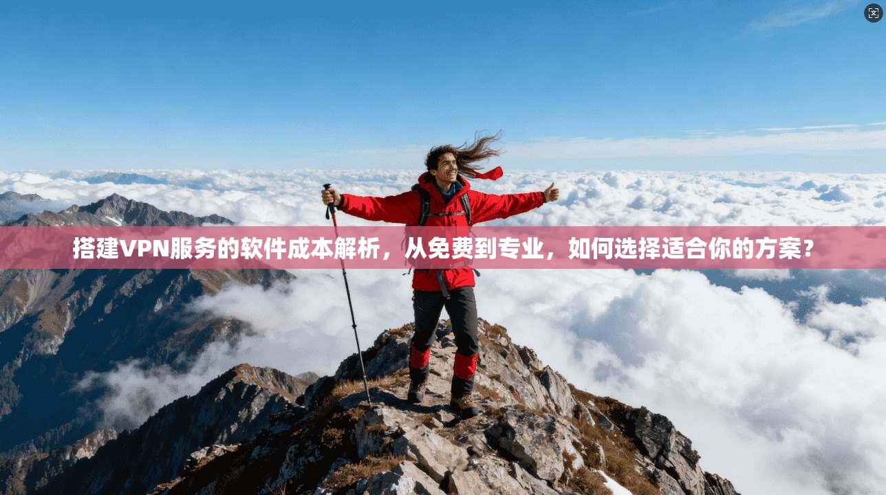 搭建VPN服务的软件成本解析，从免费到专业，如何选择适合你的方案？