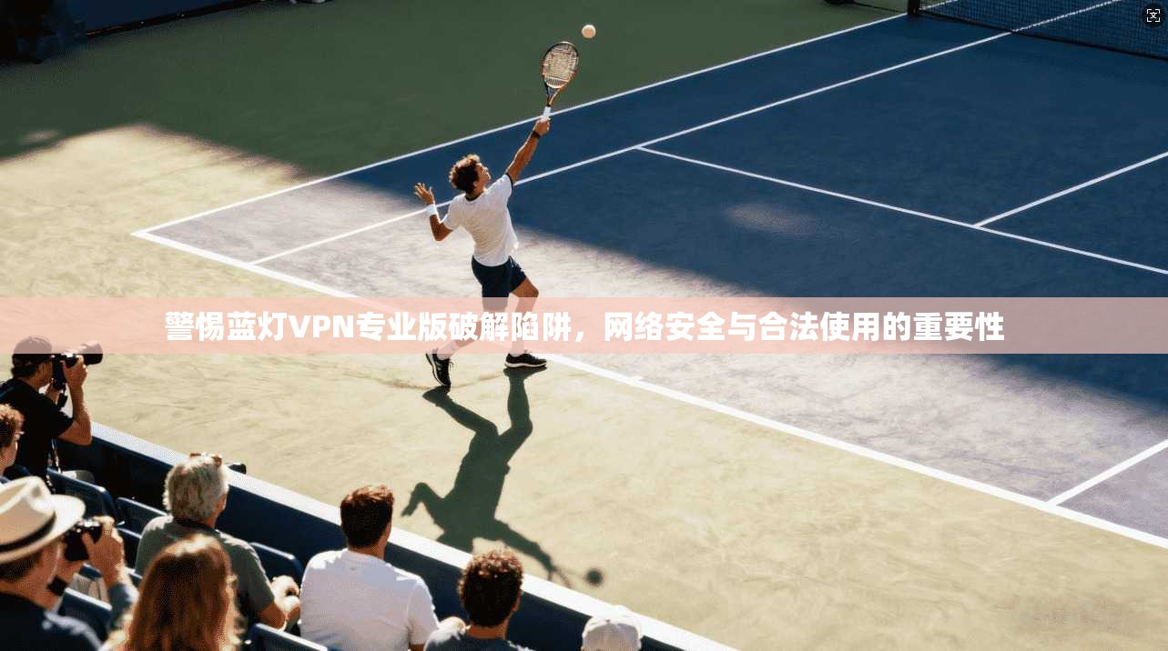 警惕蓝灯VPN专业版破解陷阱，网络安全与合法使用的重要性