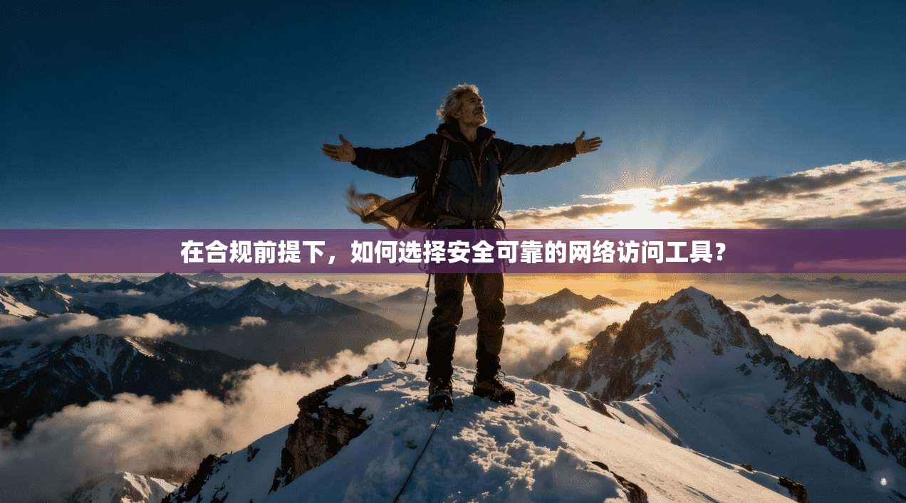 在合规前提下，如何选择安全可靠的网络访问工具？