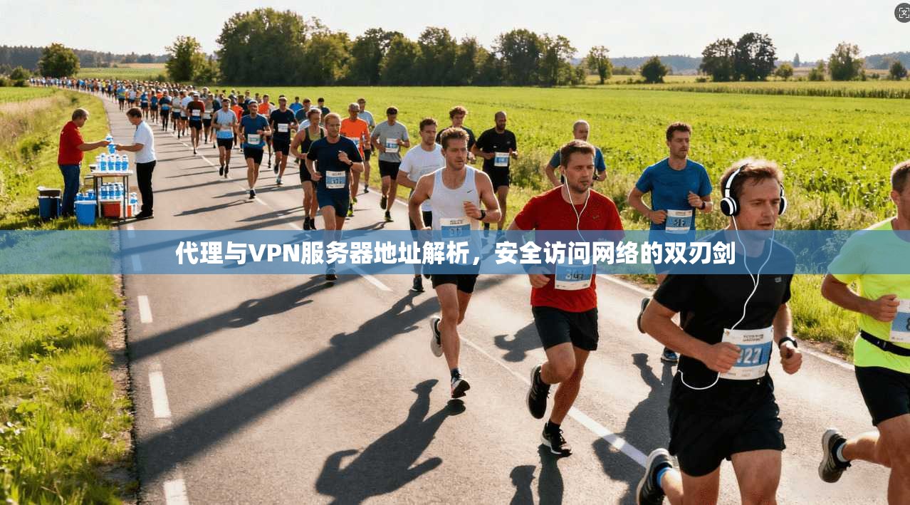 代理与VPN服务器地址解析，安全访问网络的双刃剑