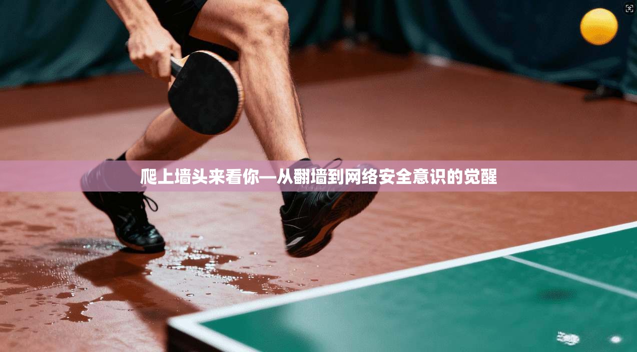 爬上墙头来看你—从翻墙到网络安全意识的觉醒