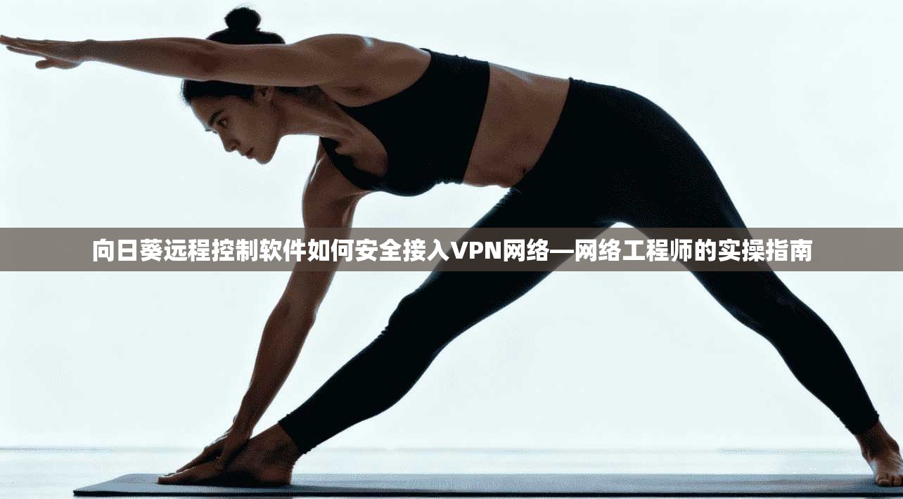 向日葵远程控制软件如何安全接入VPN网络—网络工程师的实操指南
