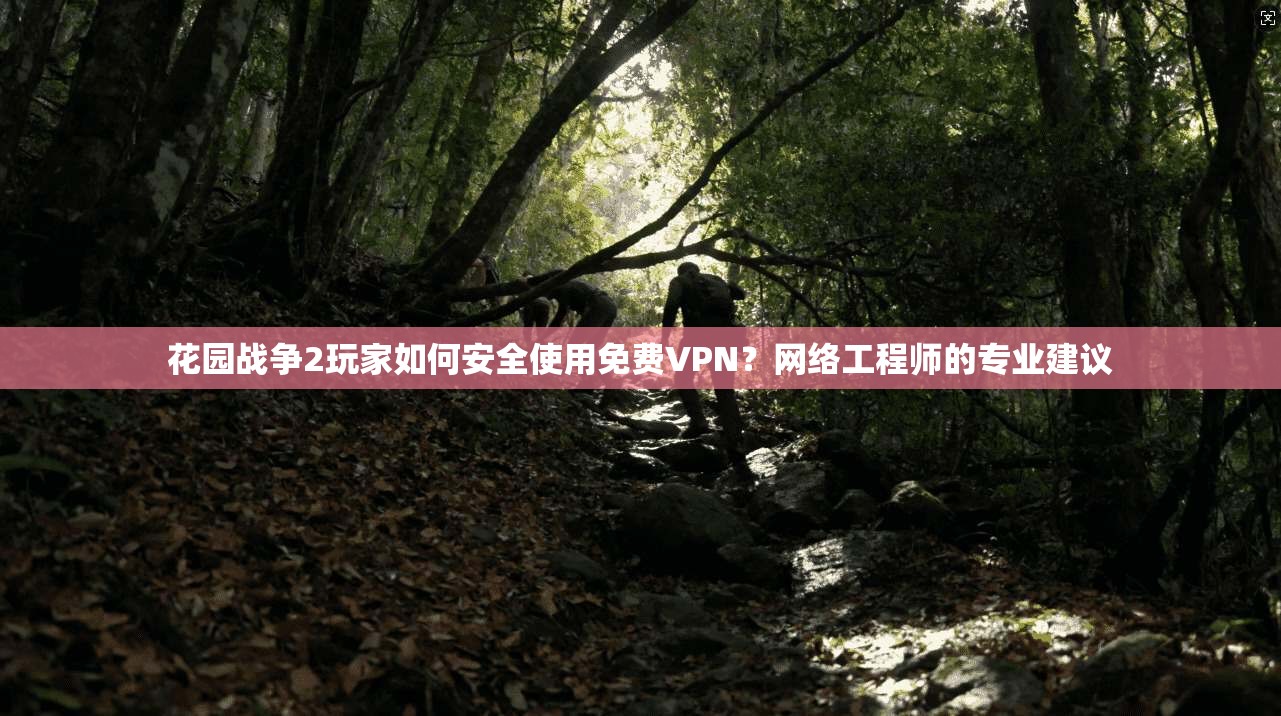 花园战争2玩家如何安全使用免费VPN？网络工程师的专业建议