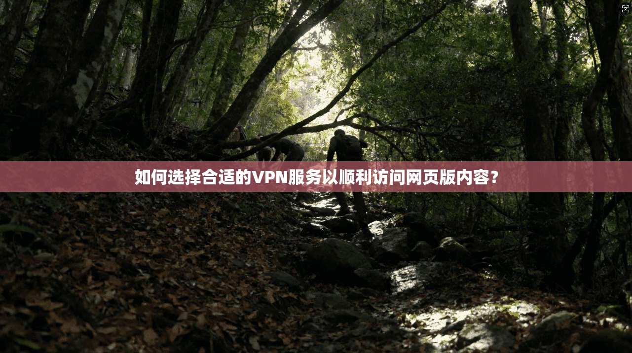如何选择合适的VPN服务以顺利访问网页版内容？