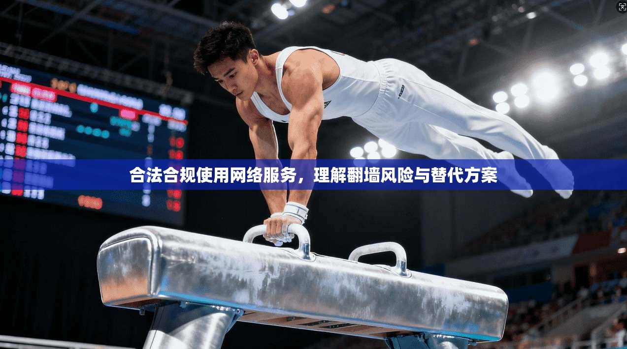 合法合规使用网络服务，理解翻墙风险与替代方案