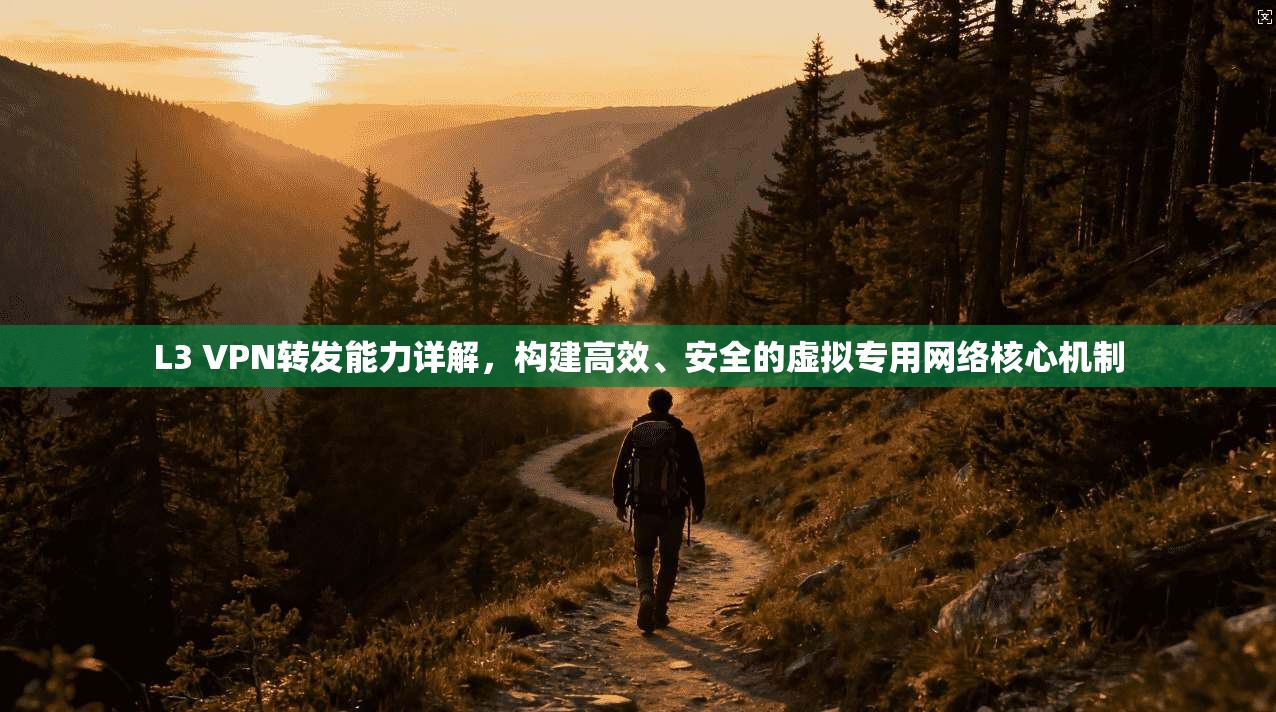 L3 VPN转发能力详解，构建高效、安全的虚拟专用网络核心机制