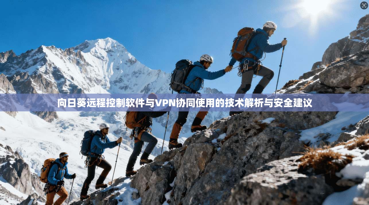 向日葵远程控制软件与VPN协同使用的技术解析与安全建议