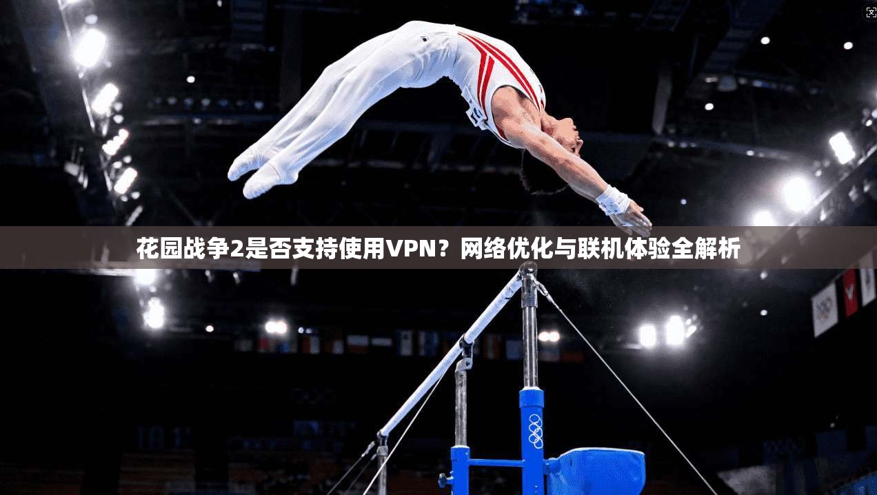 花园战争2是否支持使用VPN？网络优化与联机体验全解析