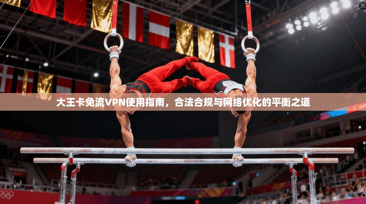 大王卡免流VPN使用指南，合法合规与网络优化的平衡之道