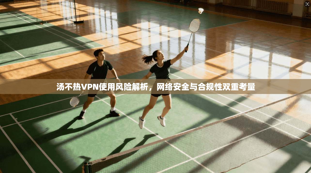 汤不热VPN使用风险解析，网络安全与合规性双重考量