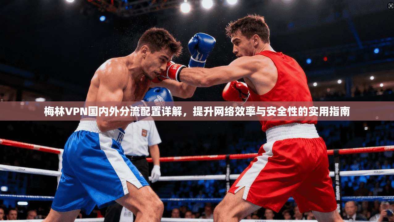 梅林VPN国内外分流配置详解,提升网络效率与安全性的实用指南 梅林VPN国内外分流配置详解,提升网络效率与安全性的实用指南