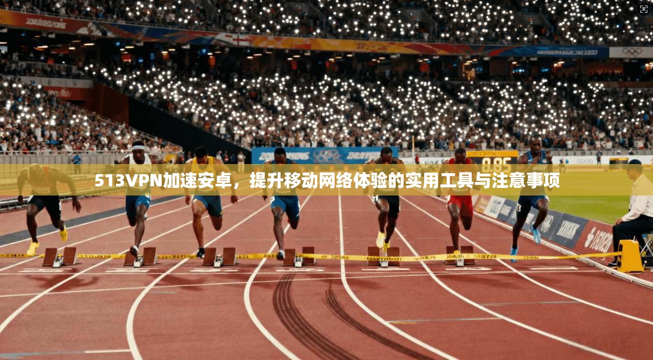 513VPN加速安卓,提升移动网络体验的实用工具与注意事项 513VPN加速安卓,提升移动网络体验的实用工具与注意事项