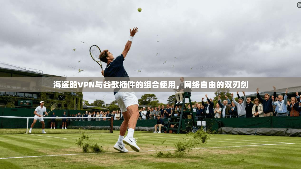 海盗船VPN与谷歌插件的组合使用,网络自由的双刃剑 海盗船VPN与谷歌插件的组合使用,网络自由的双刃剑
