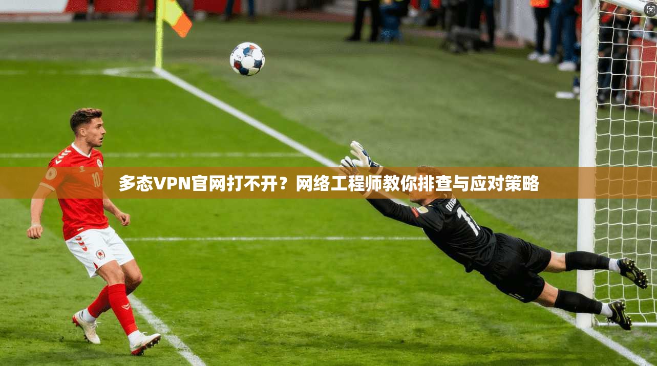 多态VPN官网打不开？网络工程师教你排查与应对策略