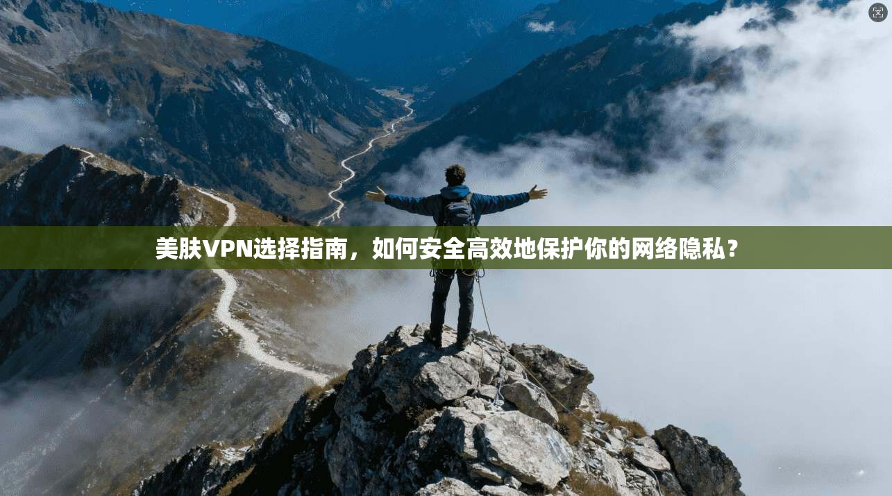 美肤VPN选择指南，如何安全高效地保护你的网络隐私？