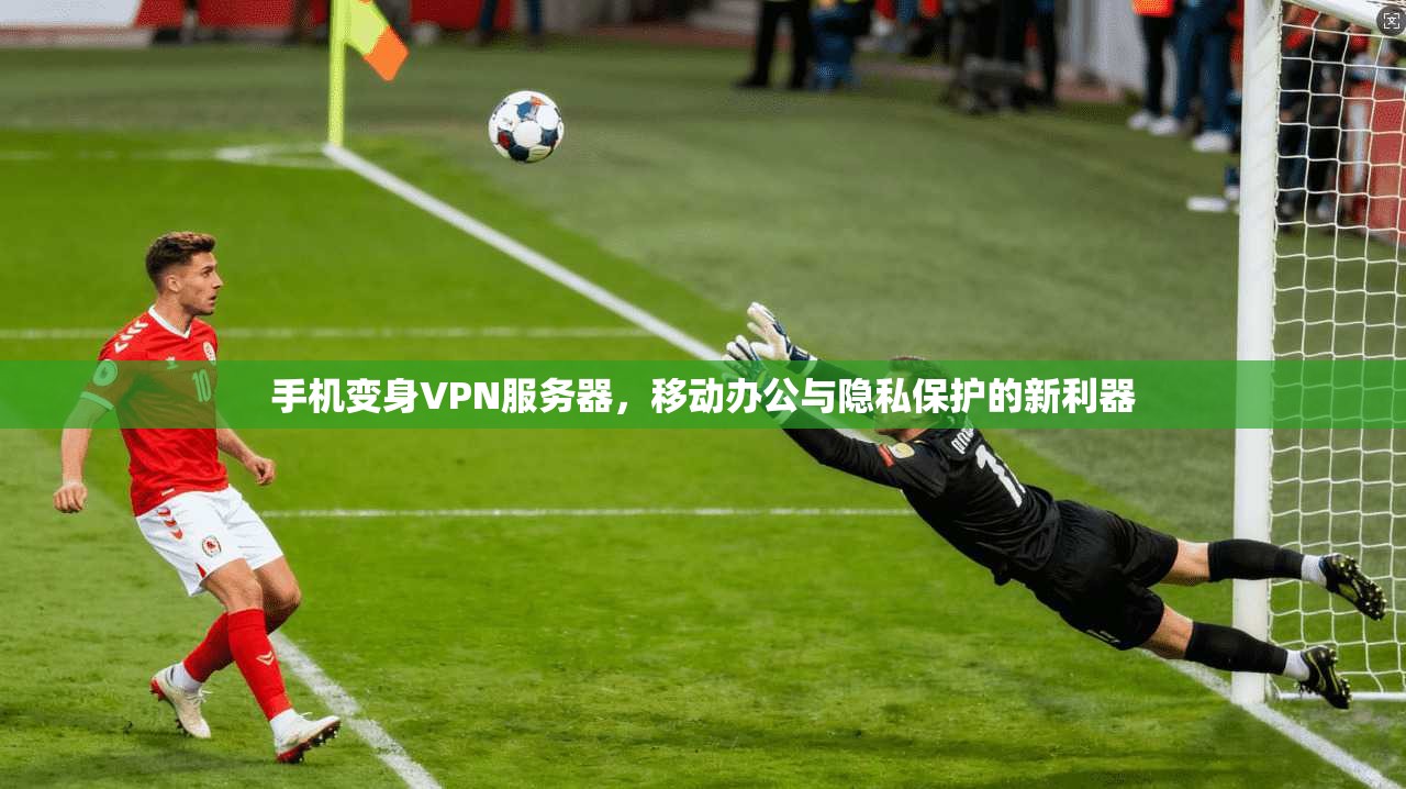 手机变身VPN服务器，移动办公与隐私保护的新利器