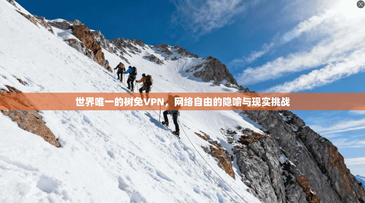 世界唯一的树免VPN，网络自由的隐喻与现实挑战