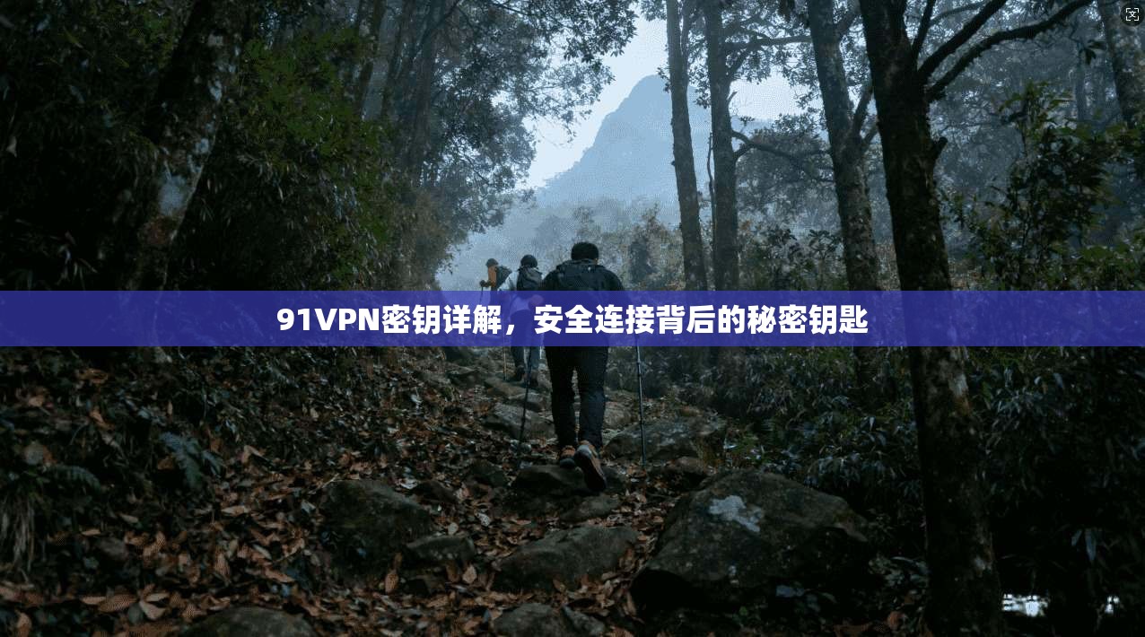 91VPN密钥详解，安全连接背后的秘密钥匙