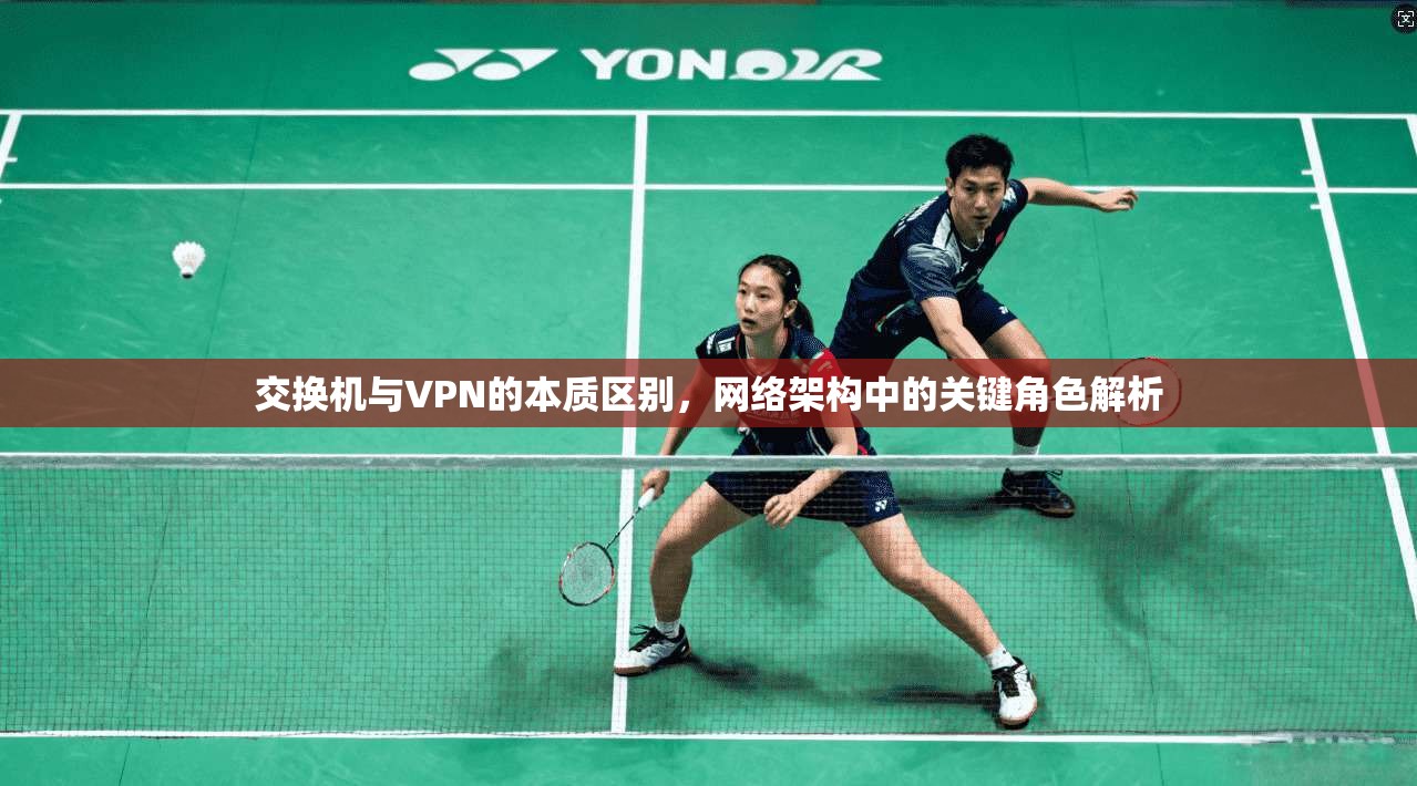 交换机与VPN的本质区别,网络架构中的关键角色解析 交换机与VPN的本质区别,网络架构中的关键角色解析