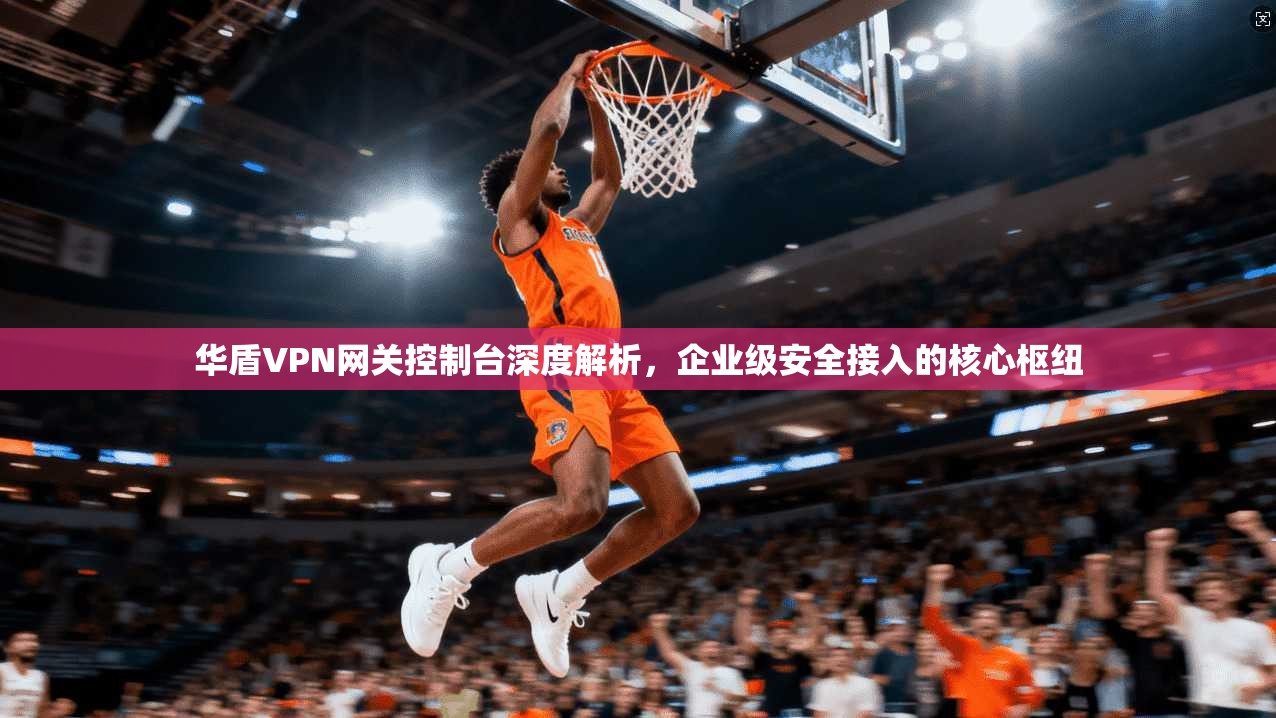华盾VPN网关控制台深度解析，企业级安全接入的核心枢纽