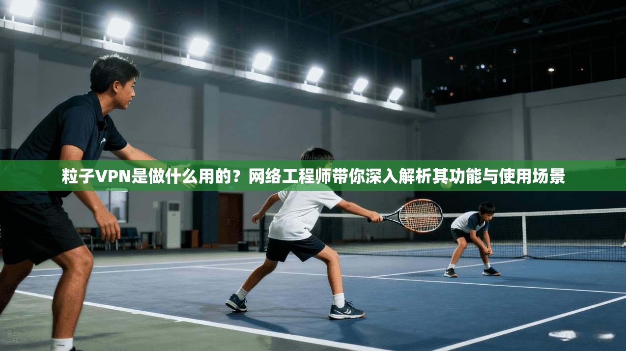 粒子VPN是做什么用的？网络工程师带你深入解析其功能与使用场景