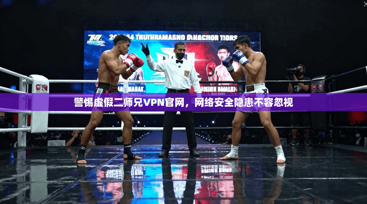 警惕虚假二师兄VPN官网，网络安全隐患不容忽视