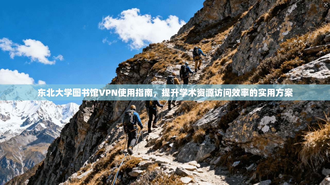 东北大学图书馆VPN使用指南，提升学术资源访问效率的实用方案