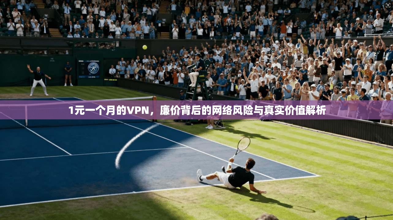 1元一个月的VPN，廉价背后的网络风险与真实价值解析