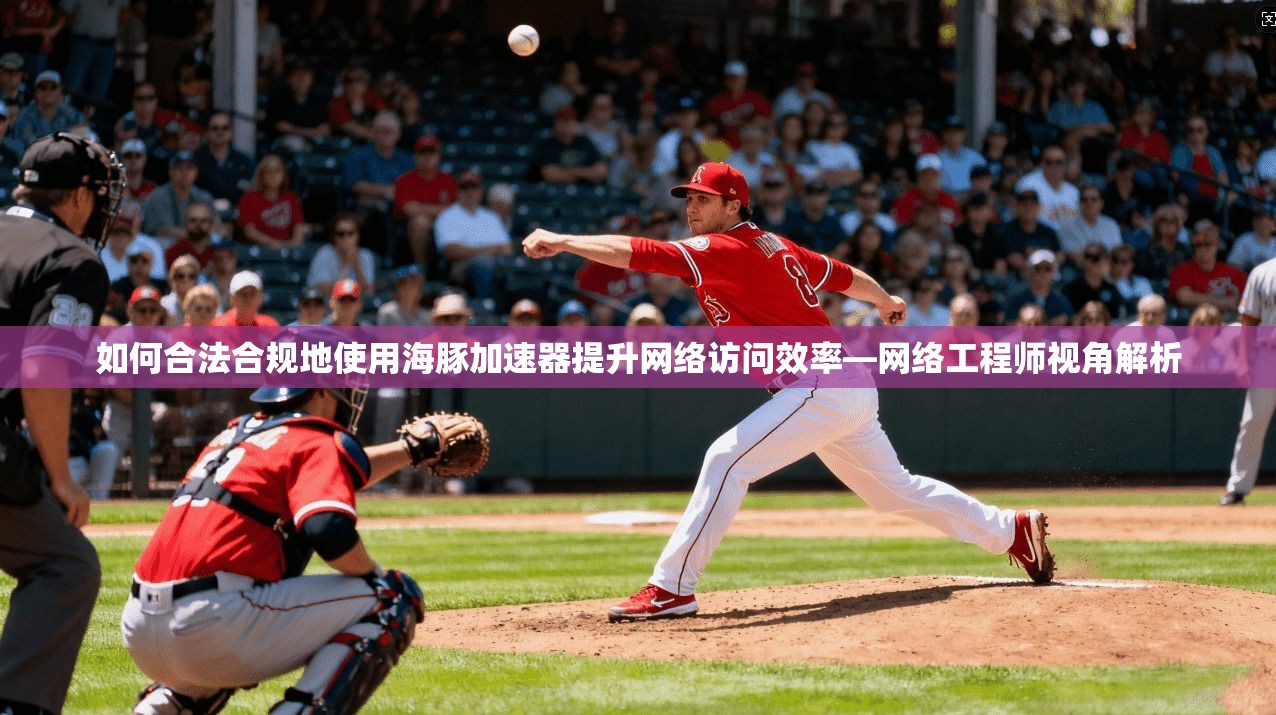 如何合法合规地使用海豚加速器提升网络访问效率—网络工程师视角解析