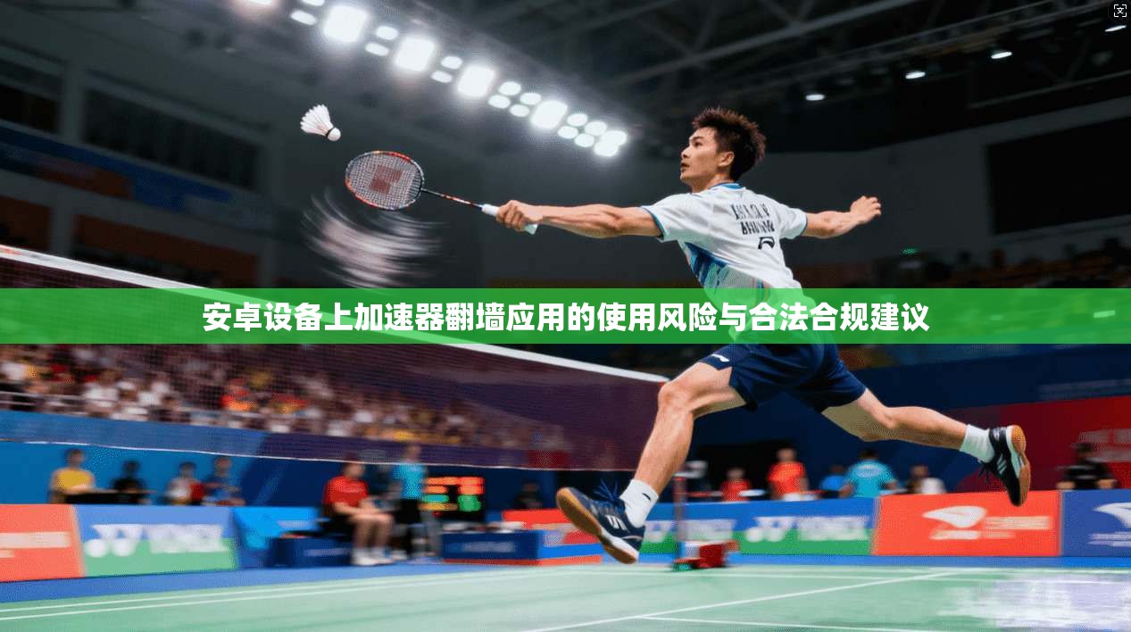 安卓设备上加速器翻墙应用的使用风险与合法合规建议 安卓设备上加速器翻墙应用的使用风险与合法合规建议
