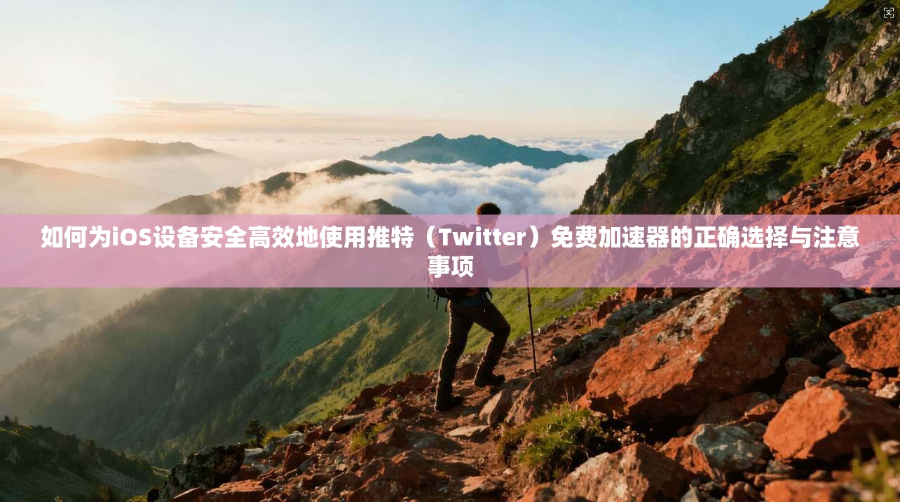 如何为iOS设备安全高效地使用推特（Twitter）免费加速器的正确选择与注意事项